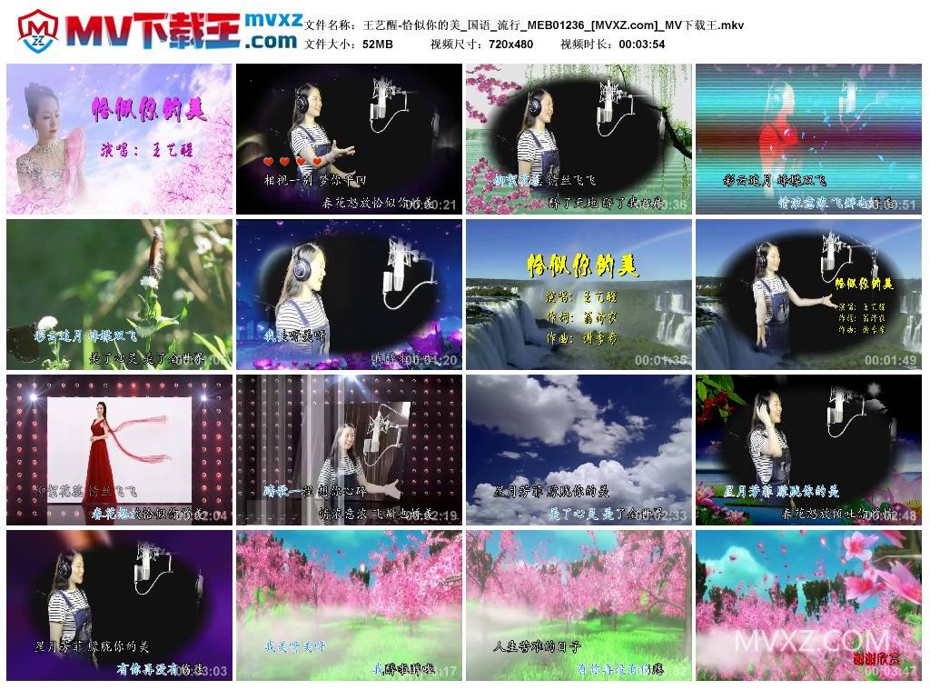 王艺醒-恰似你的美_国语_流行_MEB01236